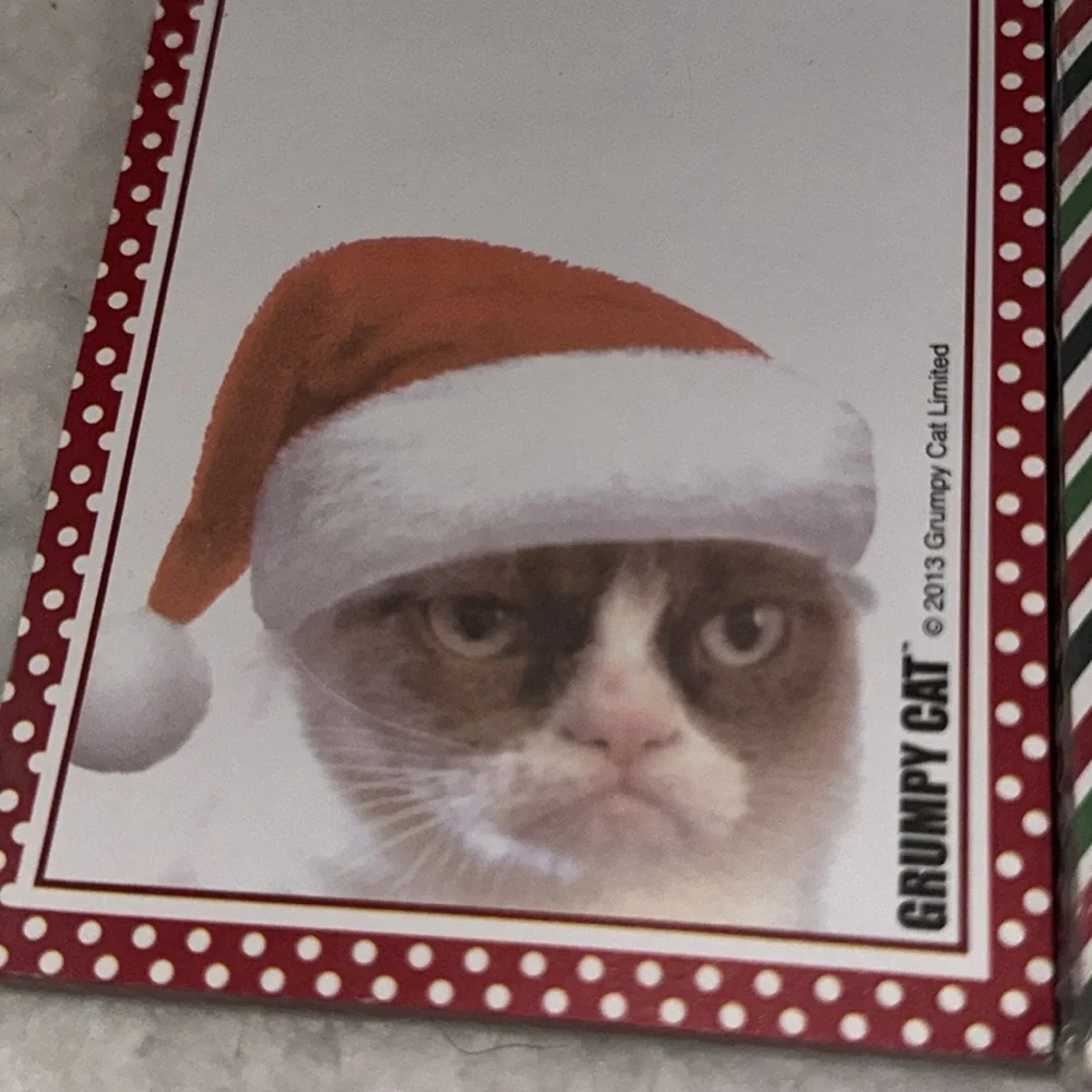 Grumpy Cat Magnetic Note Pad Christmas List To Do Notepad New Magnet